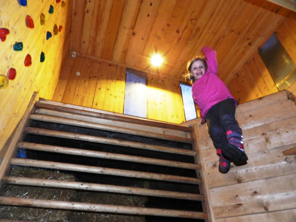 Baby- Und Kinderbauernhof Riegler Rossleithen Exteriör bild